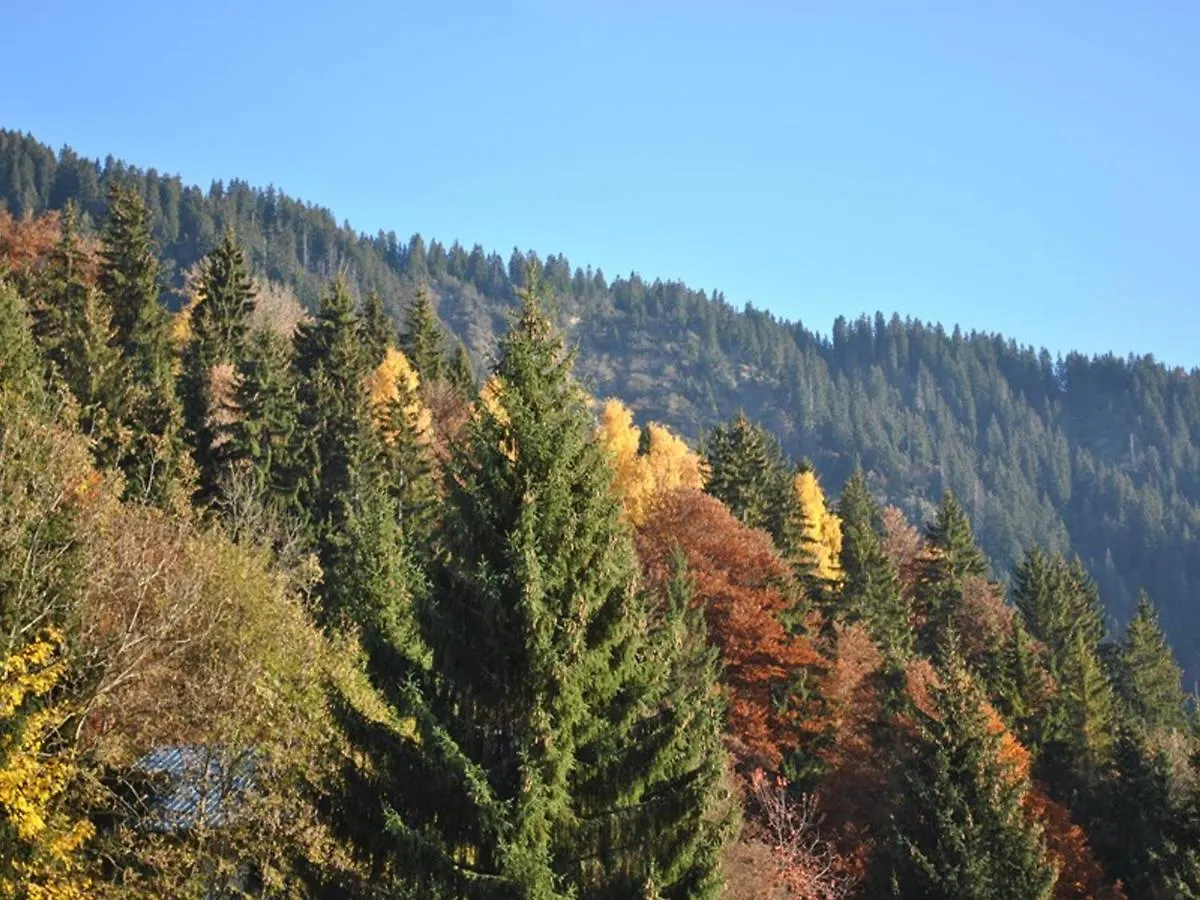 Chalet Spacieux 10 Pers. Avec Jardin, Cheminee, Cuisine Equipee A Cohennoz, Proche Nature - Fr-1-733-29